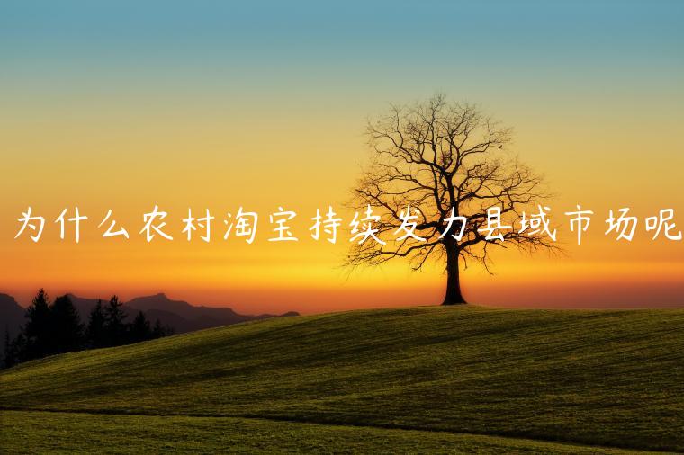 為什么農(nóng)村淘寶持續(xù)發(fā)力縣域市場(chǎng)呢